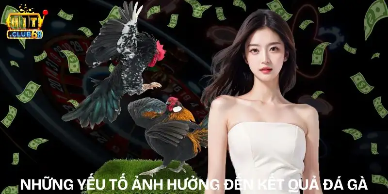 Những Yếu Tố Ảnh Hưởng Đến Kết Quả Đá Gà Quan Trọng nhung yeu to anh huong den ket qua da ga